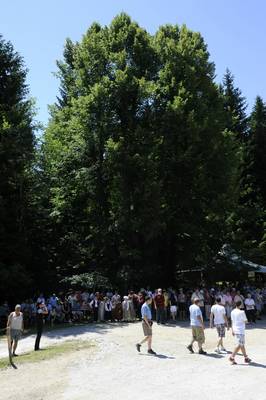 Predsednik republike dr. Danilo Türk se je udeležil 21. srečanja državnikov pri Najevski lipi (foto: Nebojša Tejić/STA)