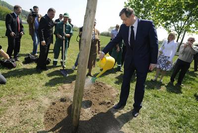 Predsednik republike dr. Danilo Türk je ob mednarodnem dnevu Zemlje posadil drevo v nastajajočem ljubljanskem Parku prijateljstva (foto: Nebojša Tejić/STA)
