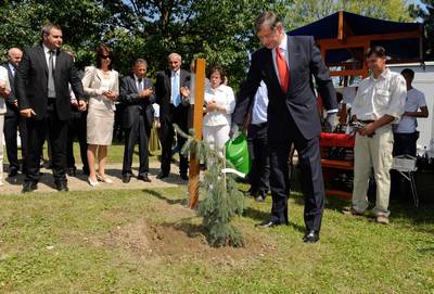 Predsednik republike dr. Danilo Türk je ob mednarodnem letu gozdov na 49. mednarodnem kmetijsko-živilskem sejmu Agra posadil omoriko (foto: Nebojša Tejić/STA)