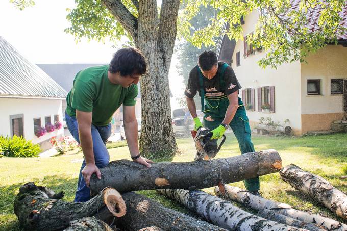 Predsednik republike Borut Pahor je nadaljeval projekt »SKUPAJ Spodbujajmo drug drugega«, na kmetiji Goličnik v Šmihelu nad Mozirjem